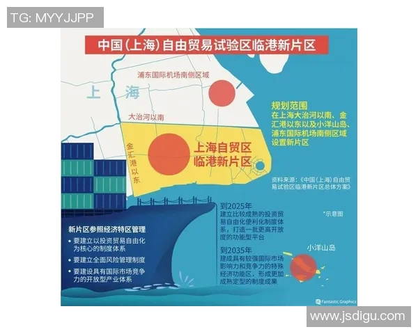 上海乒乓球队战术变革引发热议新思路助力竞技水平提升